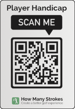 Silver sticker