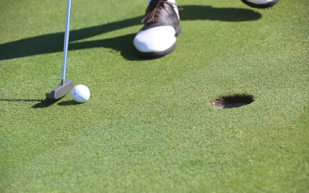 A golfer lines up a putt on a closely mown green.