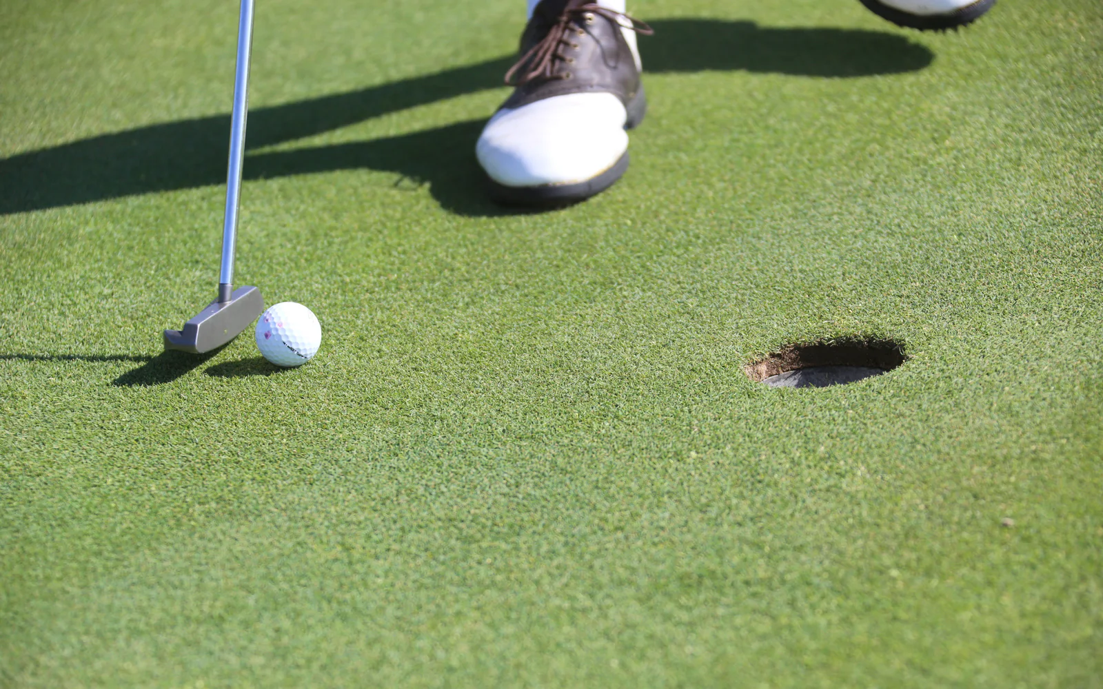 A golfer lines up a putt on a closely mown green.