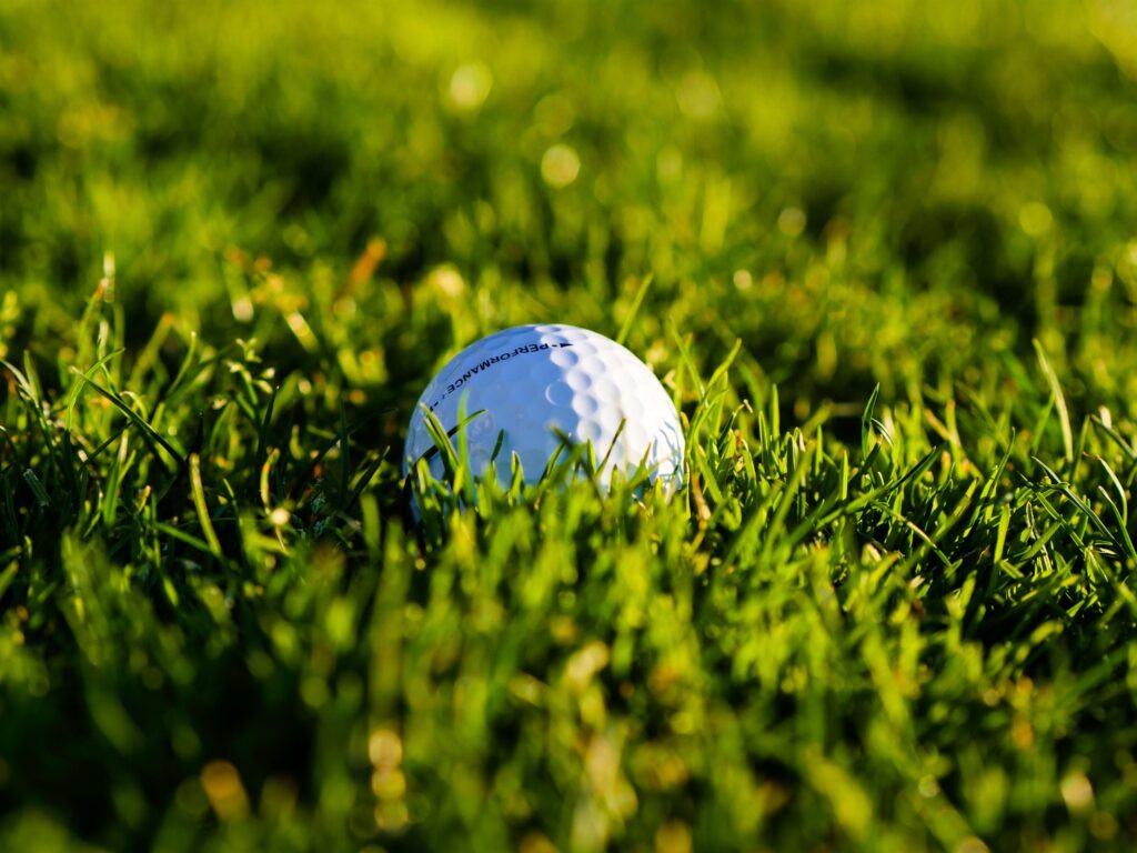 A white golf ball partly hidden in green rough.