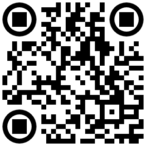Net double bogey adjustment for maximum holes score QR